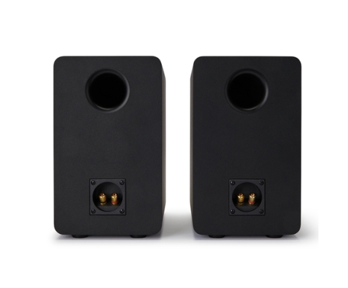 Reflexion SP-A100 altavoz Negro Alámbrico 140 W