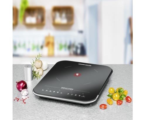 Rommelsbacher CTS 2000/IN hobs Negro, Plata Encimera Con placa de inducción 1 zona(s)