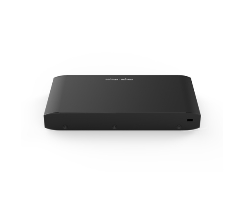 Ruijie Networks RG-EG105G-V2 router Gigabit Ethernet Negro