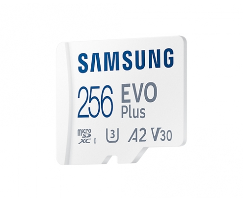 Samsung EVO Plus Memoria flash 256 GB MicroSDXC UHS-I Clase 10