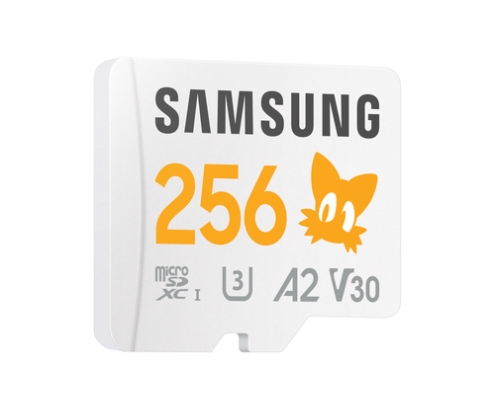 Samsung MB-MD256S 256 GB MicroSDXC UHS-I Clase 10