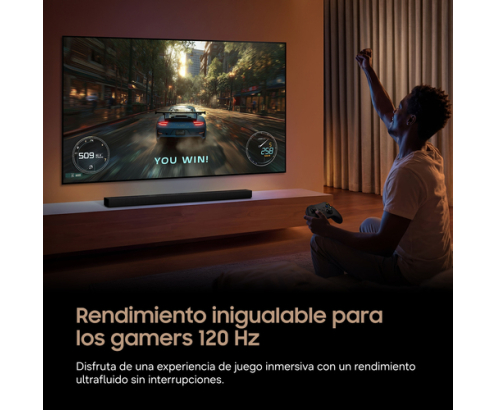 Samsung TV 48