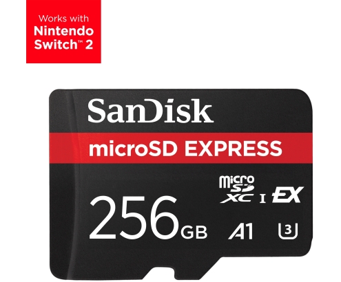 SanDisk Express 256 GB MicroSDXC UHS-I