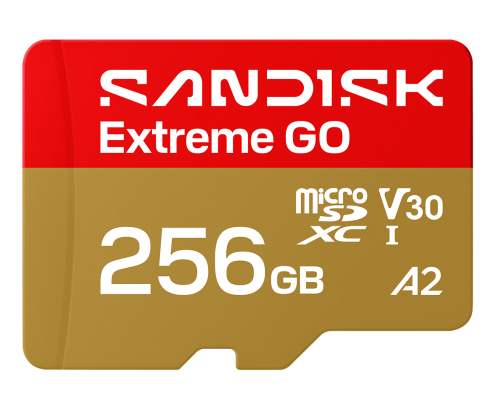 SanDisk Extreme GO 256 GB MicroSDXC UHS-I