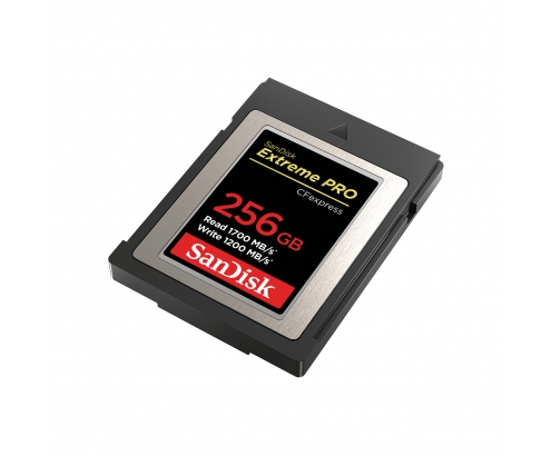 SanDisk Memoria flash 256 GB CFexpress