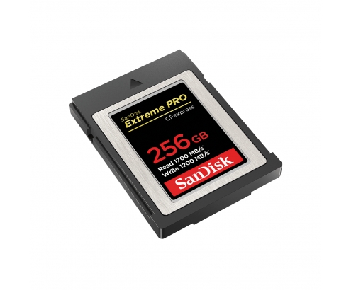 SanDisk Memoria flash 256 GB CFexpress