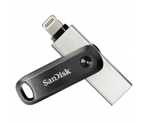 Sandisk SDIX60N-256G-GN6NE Pendrive flash 256GB 3.2 gen 1 gris plata 