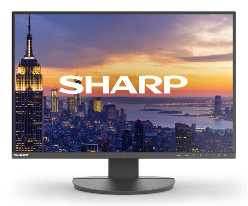 Sharp MultiSync EA242W pantalla para PC 61 cm (24