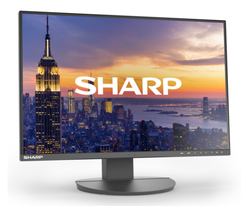 Sharp MultiSync EA242W pantalla para PC 61 cm (24