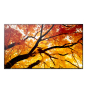 Sharp MultiSync M432 Pantalla plana para señalización digital 108 cm (42.5