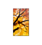 Sharp MultiSync M432 Pantalla plana para señalización digital 108 cm (42.5