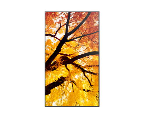 Sharp MultiSync M432 Pantalla plana para señalización digital 108 cm (42.5