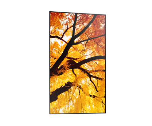 Sharp MultiSync M432 Pantalla plana para señalización digital 108 cm (42.5