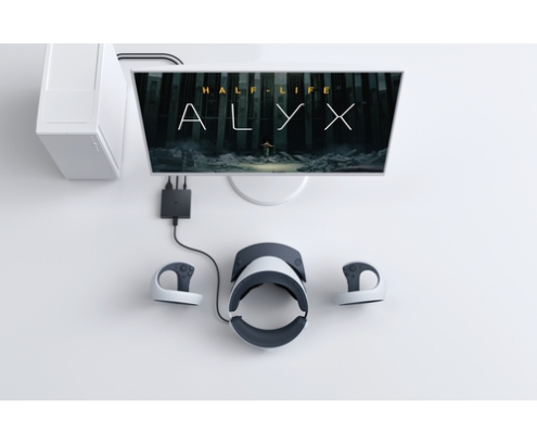 Sony 1000043174 accesorio de controlador de juego Adaptador