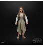 Star Wars The Black Series F43525X0 toy figure