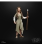 Star Wars The Black Series F43525X0 toy figure