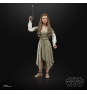 Star Wars The Black Series F43525X0 toy figure