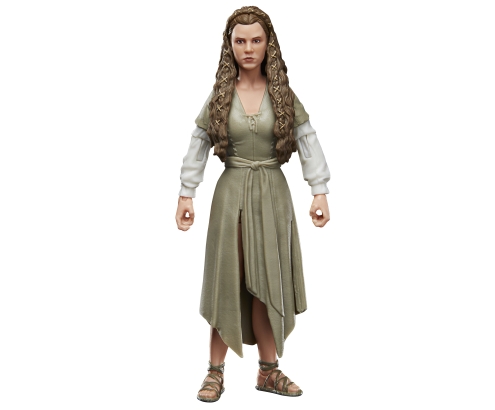 Star Wars The Black Series F43525X0 toy figure