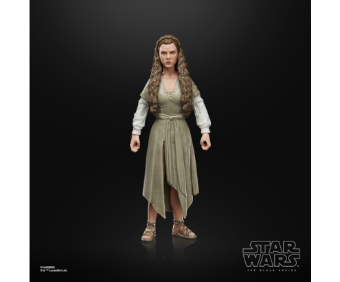 Star Wars The Black Series F43525X0 toy figure