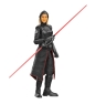 Star Wars The Black Series Inquisitor