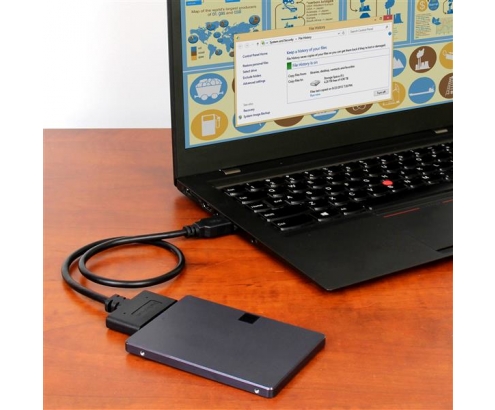 StarTech.com Cable adaptador USB 3.1 (10 Gbps) a SATA para unidades de disco - negro