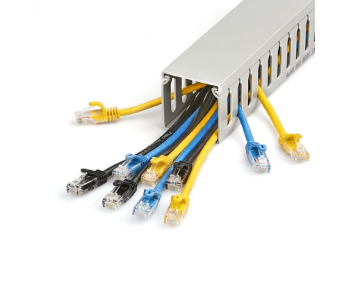StarTech.com Canaleta para Cableado con Ranura Abierta y Tapa, 50 mm An x 50 mm Al - 2 m Lar - Ranuras de 8 mm, Cubierta de PVC o Conducto de Pared pa