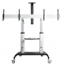 StarTech.com STNDMTVDUO soporte para TV 152,4 cm (60