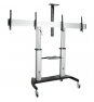 StarTech.com STNDMTVDUO soporte para TV 152,4 cm (60