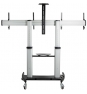 StarTech.com STNDMTVDUO soporte para TV 152,4 cm (60