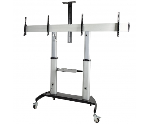 StarTech.com STNDMTVDUO soporte para TV 152,4 cm (60