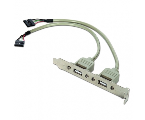 TARJETA CABEZAL BRACKET GEMBIRD USB 2.0 PANEL POSTERIOR 2X USB 0.25METROS CCUSBRECEPTACLE