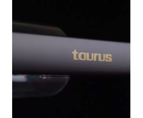 Taurus Homeland Endless Aspiradora escoba Corriente alterna Secar Ciclónico Sin bolsa Negro