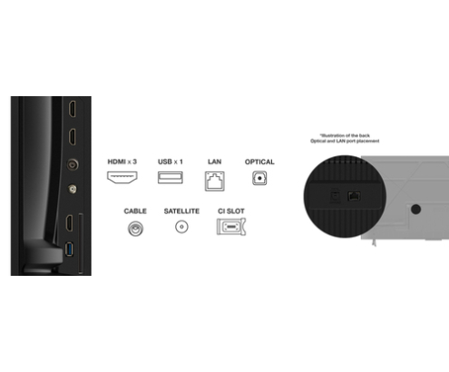 TCL T69C 55T69C Televisor 139,7 cm (55