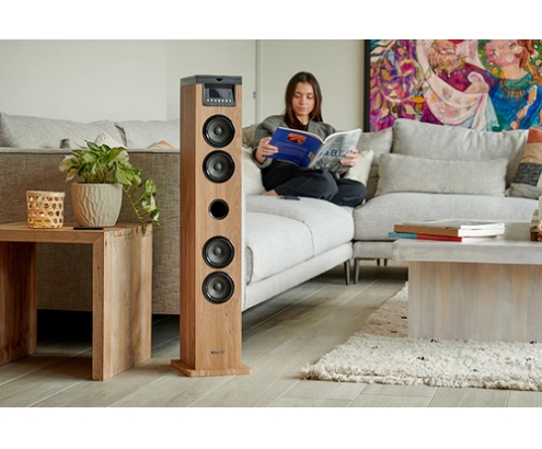 Thomson DS122CD sistema de audio para el hogar Torre de sonido para uso doméstico 10 W Negro, Madera