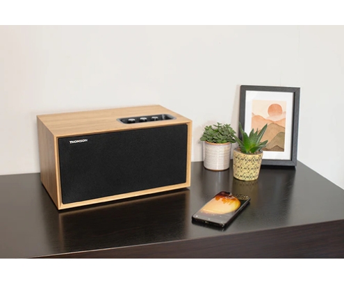 Thomson WS502 sistema de audio para el hogar Microcadena de música para uso doméstico Negro, Madera