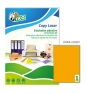 Tico LP4FA-210297 etiqueta autoadhesiva Rectángulo Permanente Naranja 70 pieza(s)