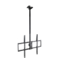 TooQ Soporte de Techo Extensible para Pantallas 50