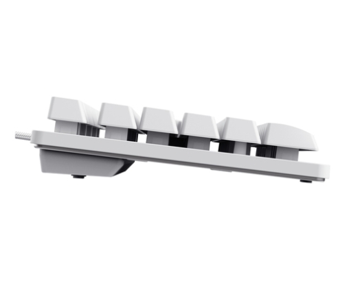 Trust GXT 833W Thado TKL teclado Juego USB QWERTY Español Blanco