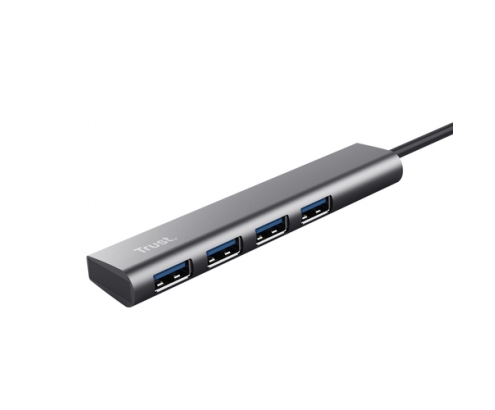 Trust Halyx USB 3.2 Gen 1 (3.1 Gen 1) Type-A 5 Mbit/s Gris
