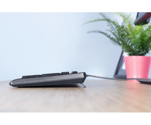 Trust Primo teclado USB Portugués Negro