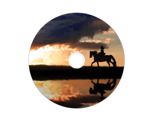 Verbatim 43667 DVD en blanco 8,5 GB DVD+R DL 25 pieza(s)