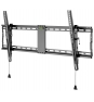 Wentronic Pro TILT (XL) 2,54 m (100