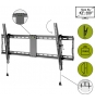 Wentronic Pro TILT (XL) 2,54 m (100