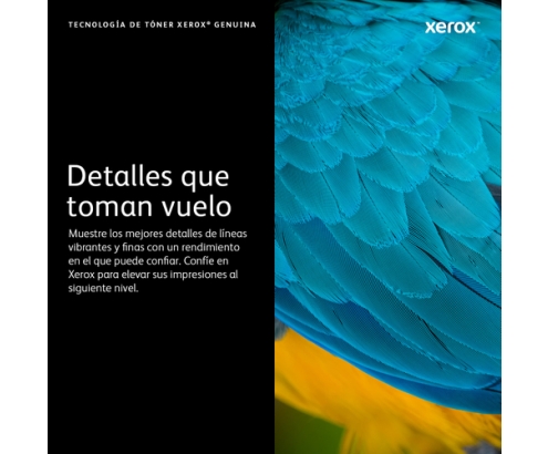 Xerox 6R1459 cartucho de tóner 1 pieza(s) Original Magenta