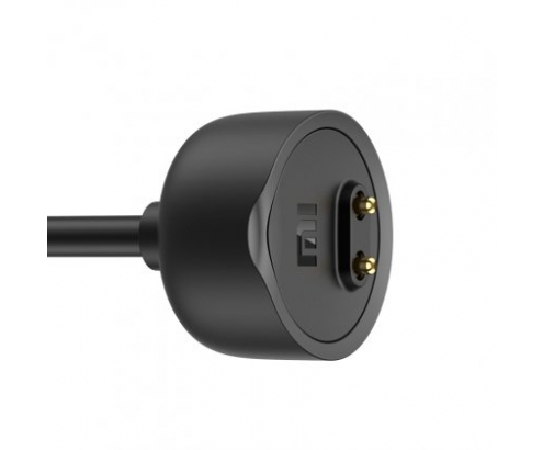 Xiaomi BHR4641GL cable de carga para registro de la actividad negro 